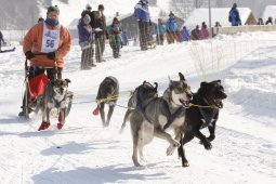 Lenk 2012 SM